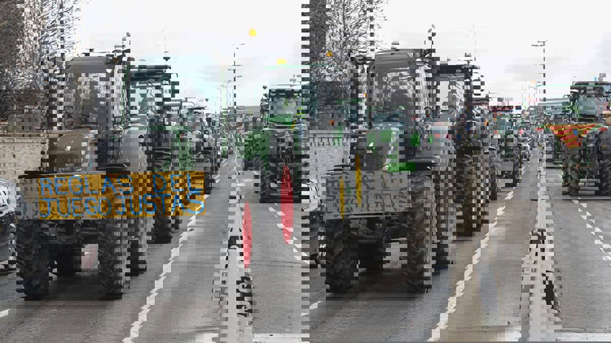 لماذا انتفض المزارعون الإسبان ضد سياسة أوروبا الزراعية؟