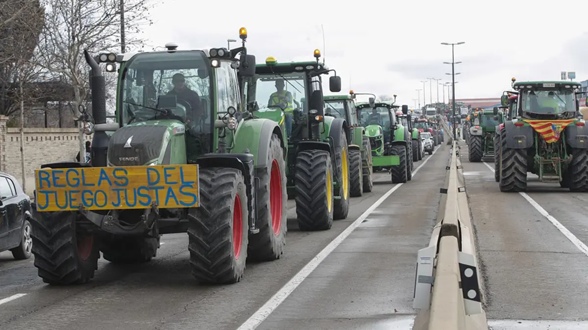 لماذا انتفض المزارعون الإسبان ضد سياسة أوروبا الزراعية؟