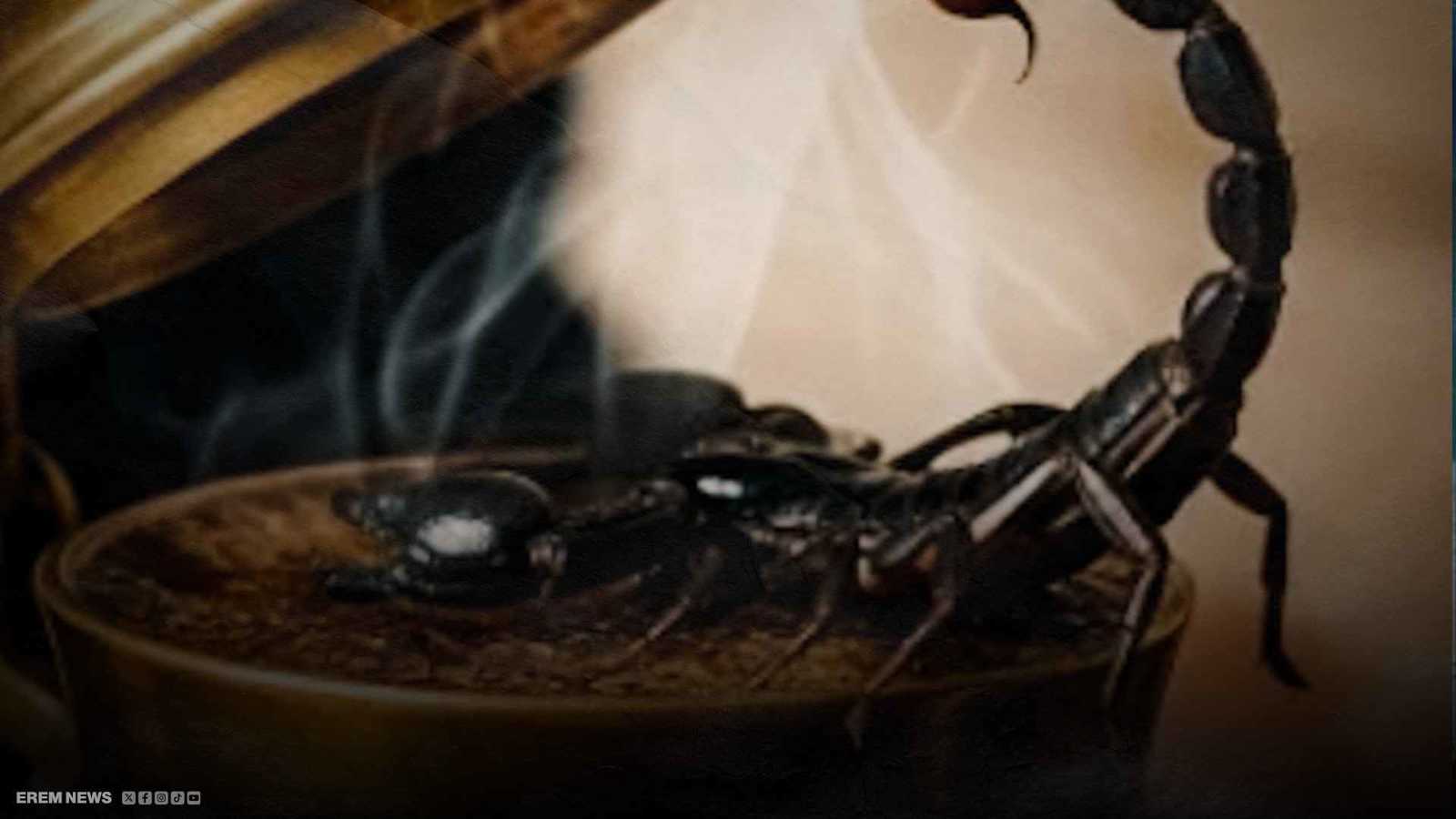 "إبريق شاي" يقتل 4 عراقيين