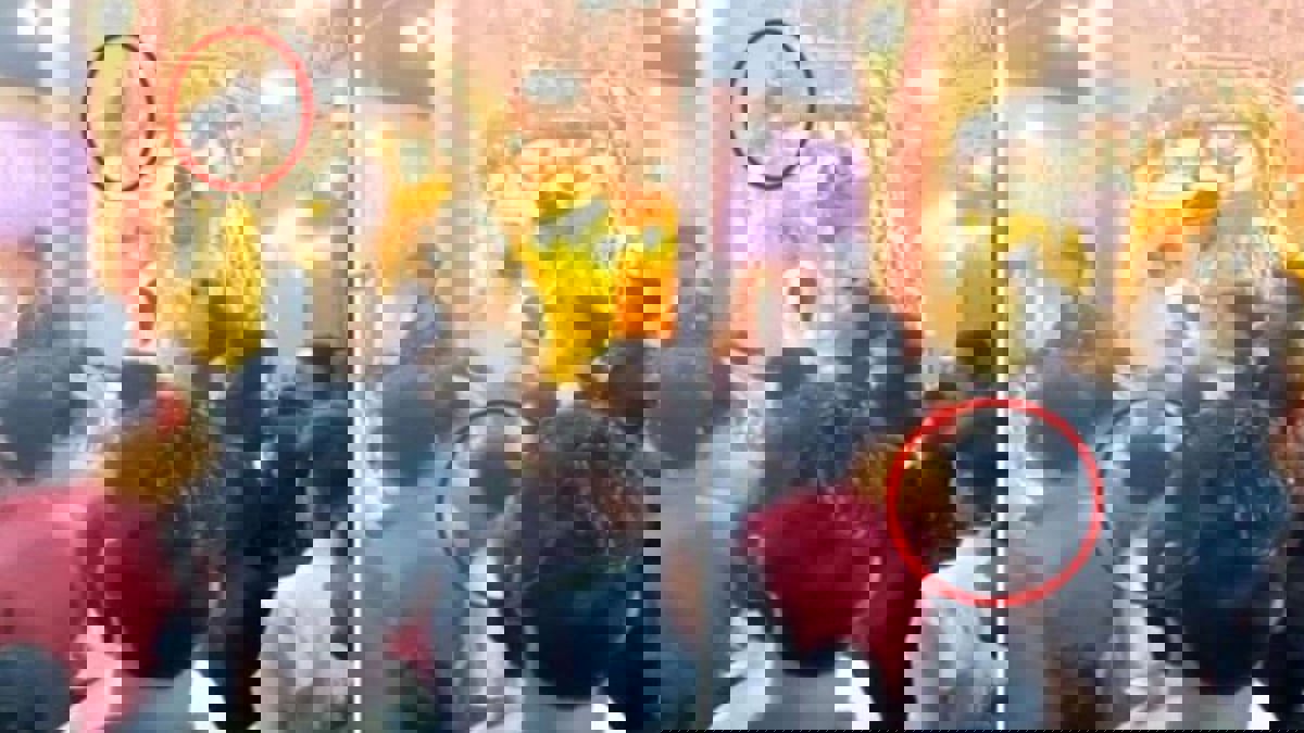 عريس هندي يتسبب بمأساة في حفل زفافه