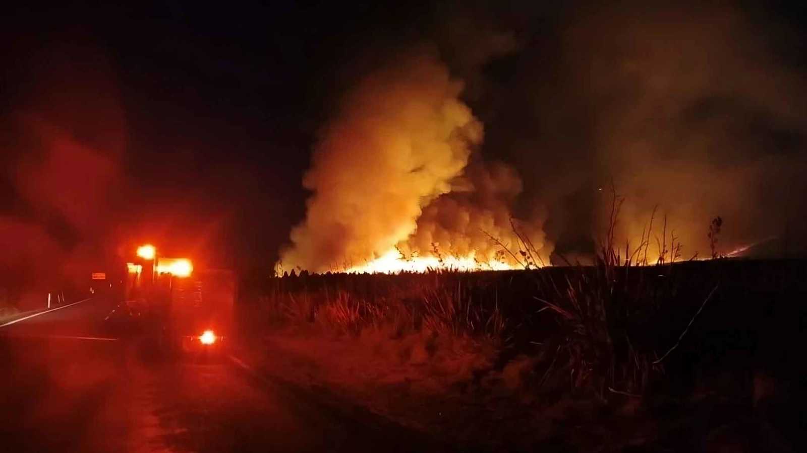 حريق ضخم بمتنزه في نيوزيلندا وفرق الإطفاء تكافح النيران