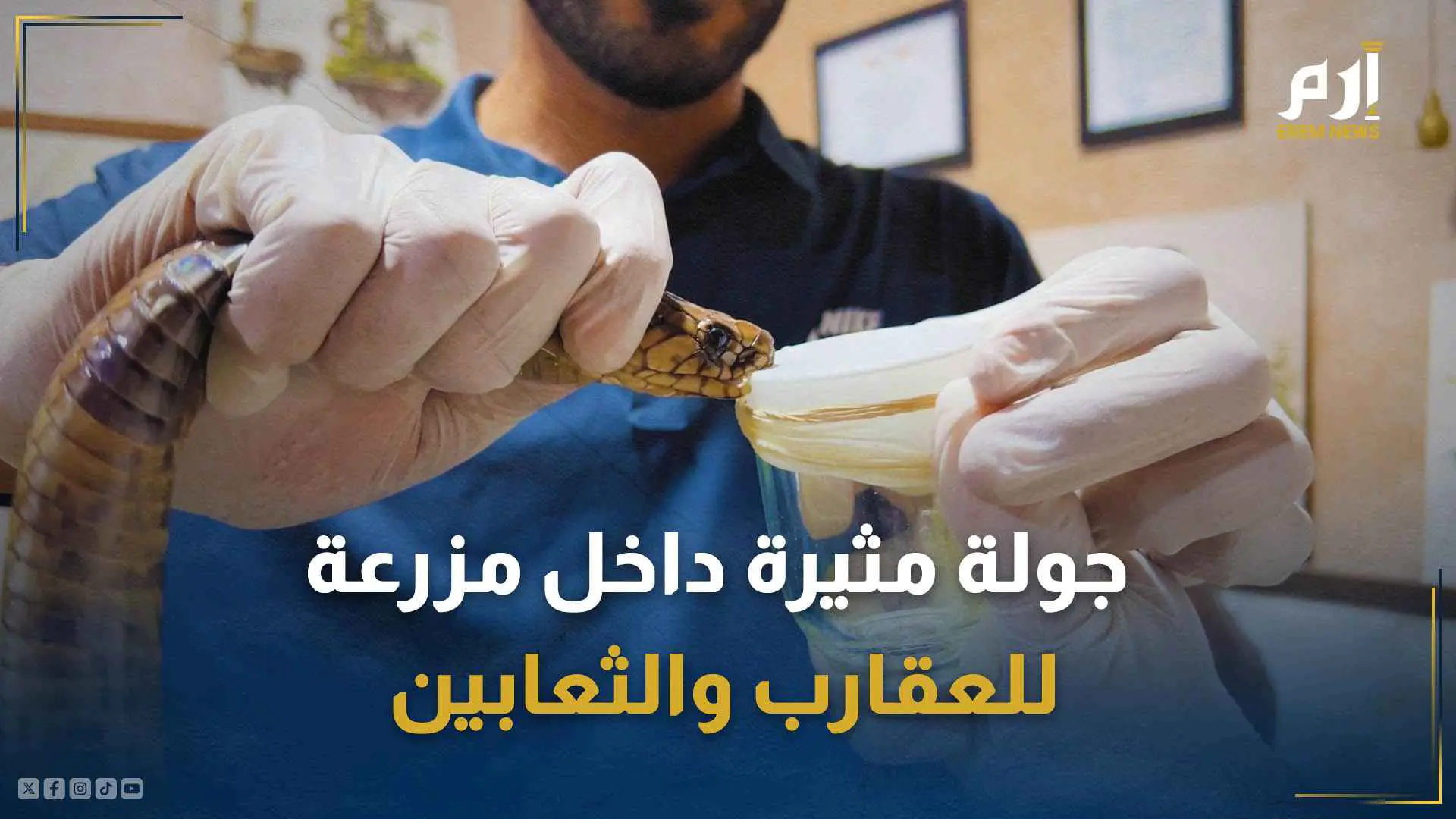 جولة مثيرة داخل مزرعة للعقارب والثعابين