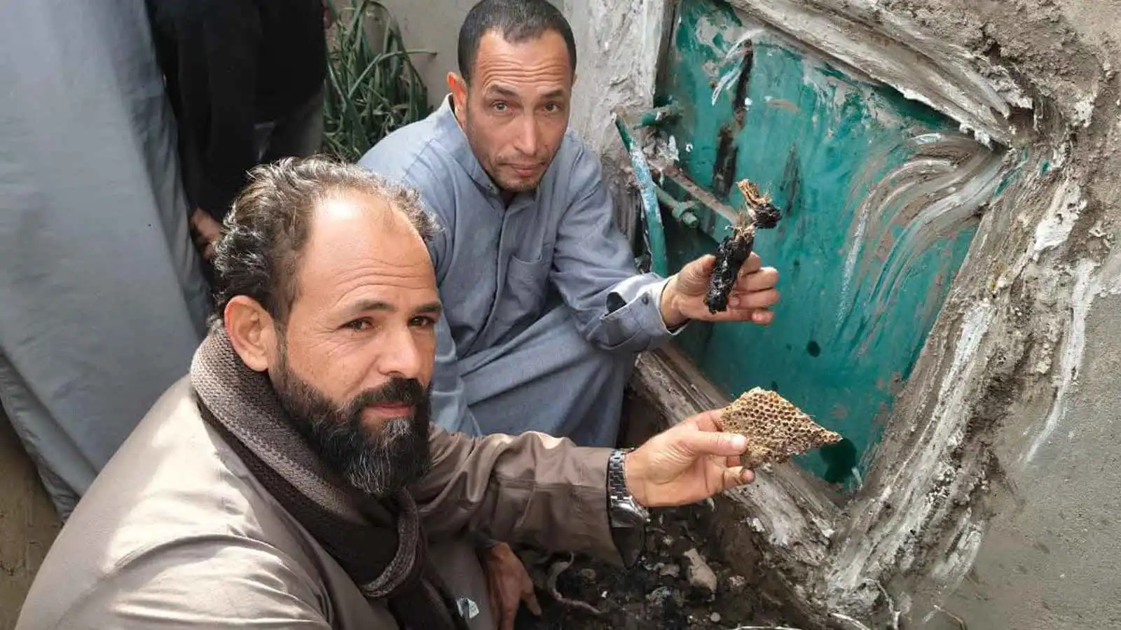 جيش نحل يمنع دفن رجل بمصر