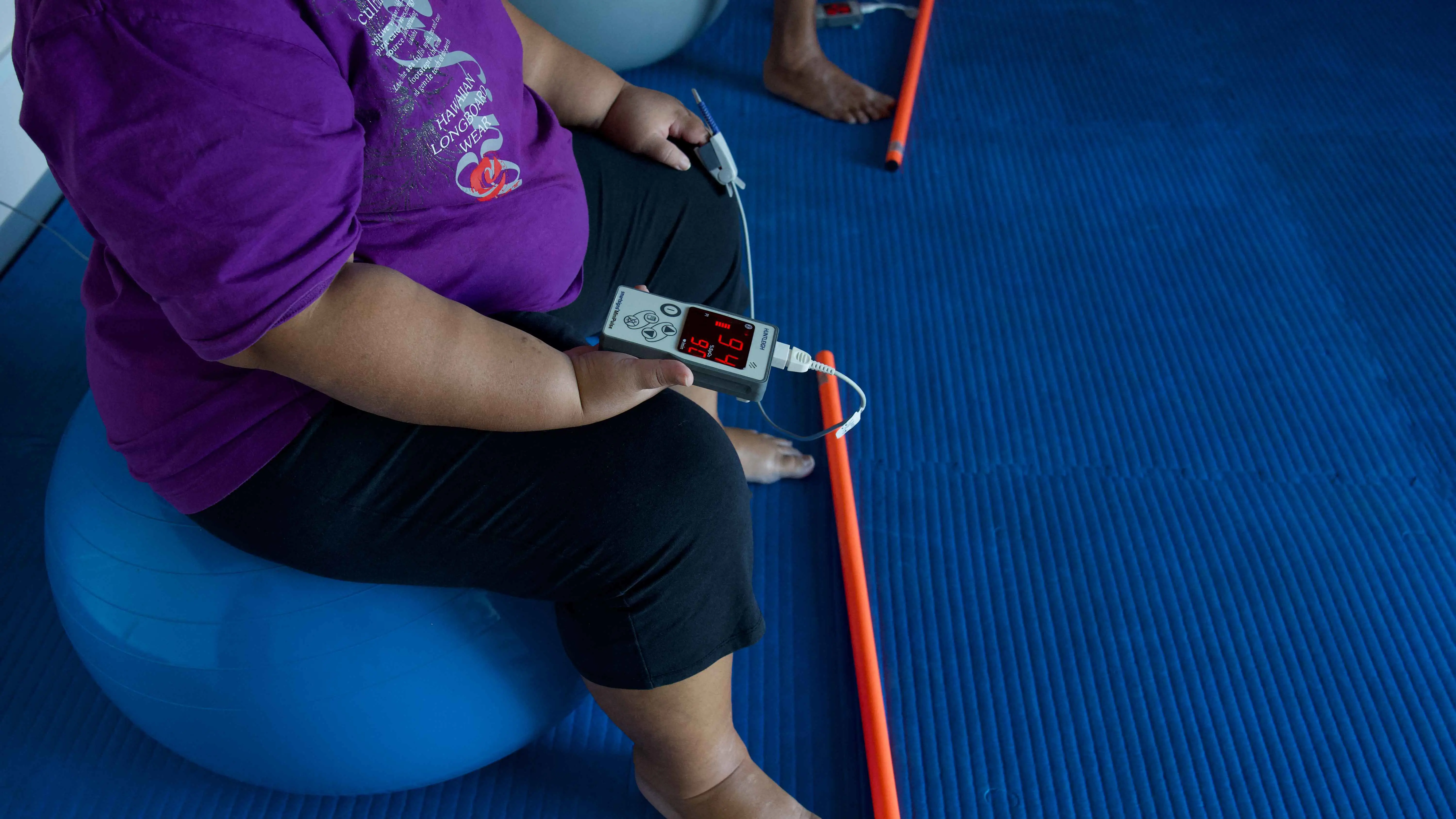 بوزن 250 كيلوغراما.. الحكومة المصرية تتحرك لإنقاذ "بطة"