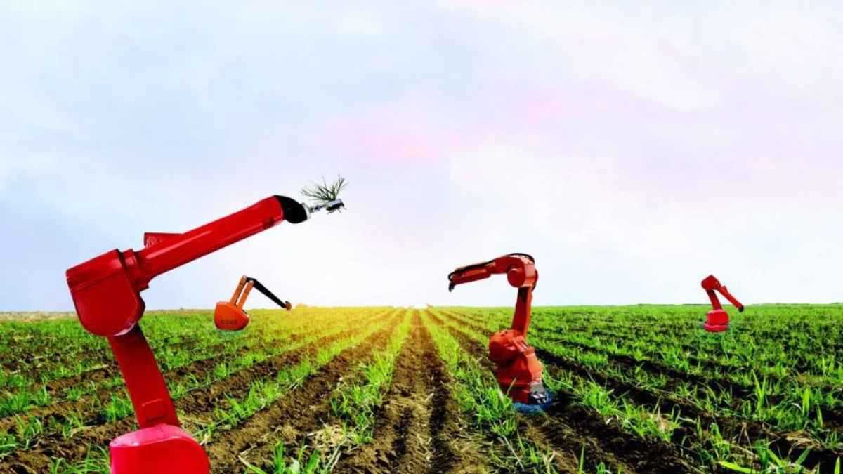 الصين.. تطوير أول روبوت ذكي مخصص لتربية النباتات (فيديو)