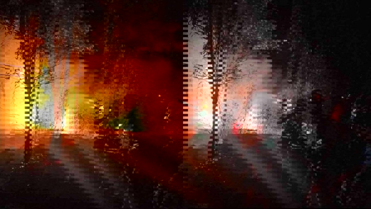 مقتل 19 شخصا في حريق غابات بإقليم سيتشوان الصيني