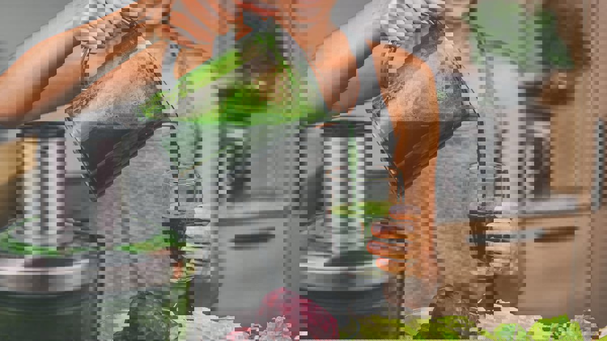 هل يعتبر "العصير الأخضر" بديلًا صحيًّا للوجبات اليومية؟