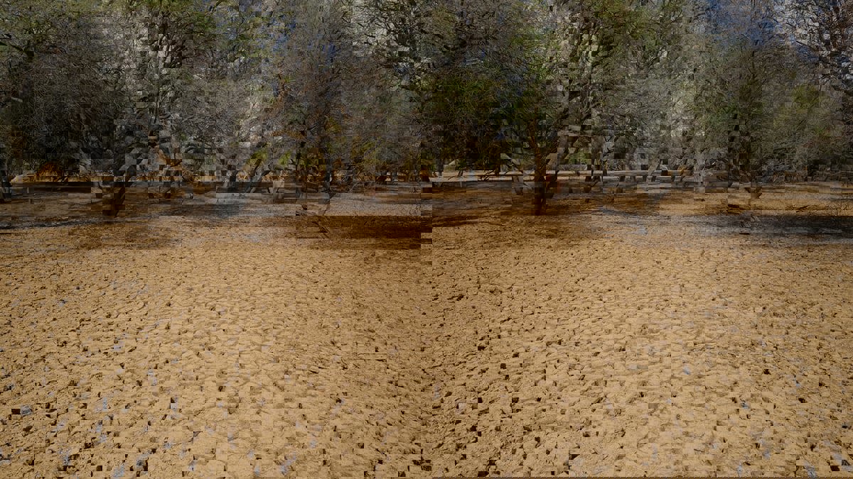 التنمية والمناخ... معارك الشرق الأوسط