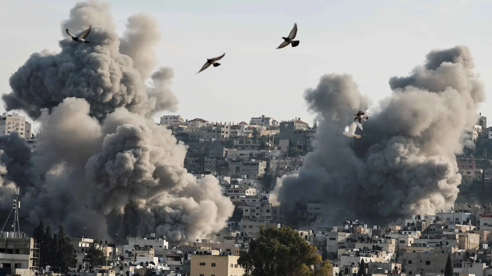 خبراء: "السور الحديدي" تتسع تدريجياً نحو قلقيلية ونابلس بالضفة الغربية