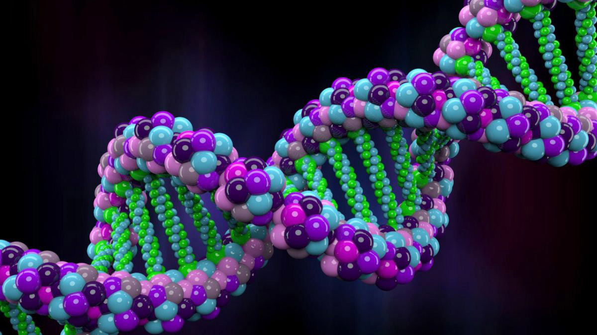 كينيا تبحث ربط الحمض النووي بالرقم القومي للمواطنين