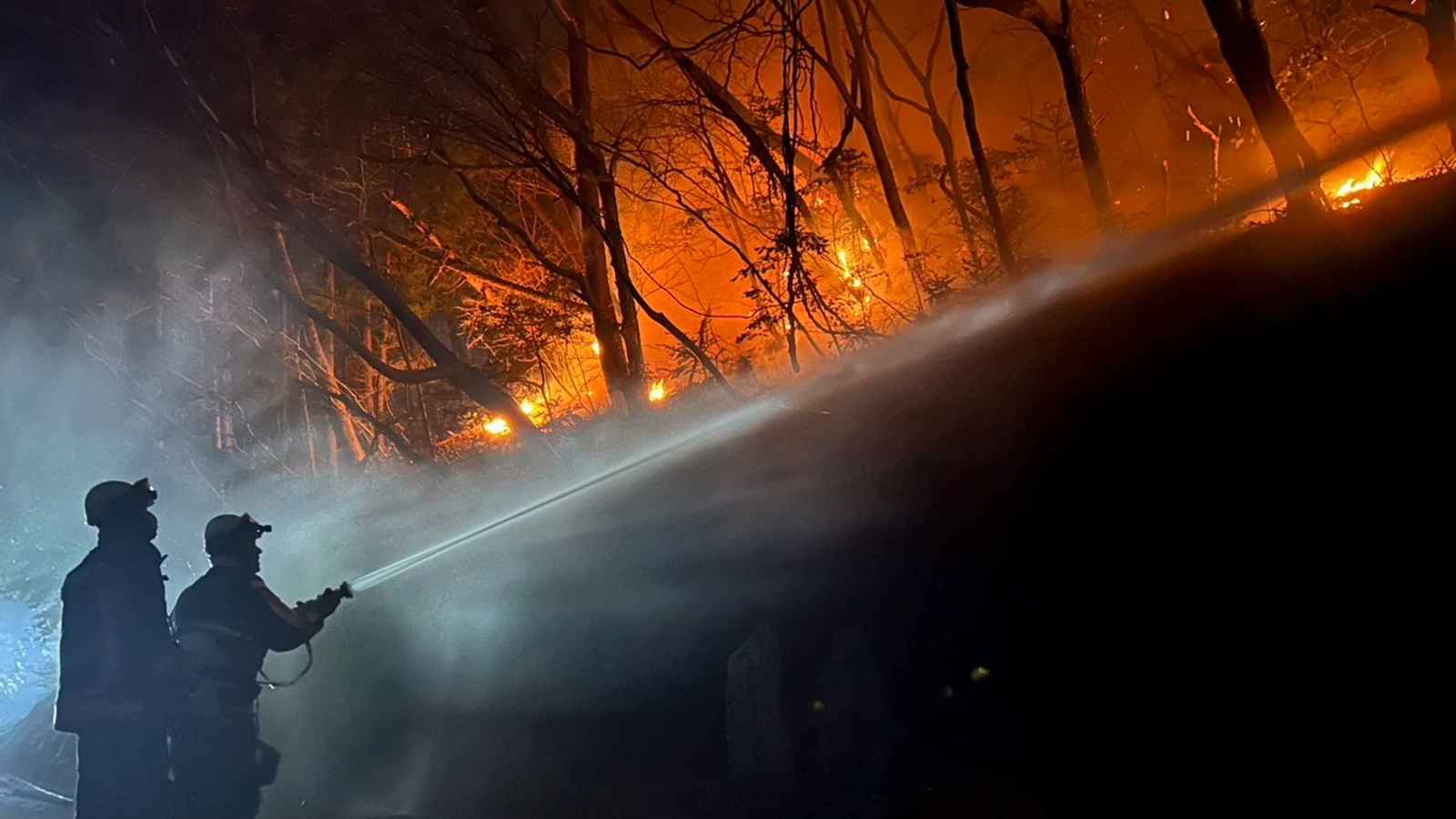 اتساع رقعة حرائق الغابات في اليابان (فيديو)