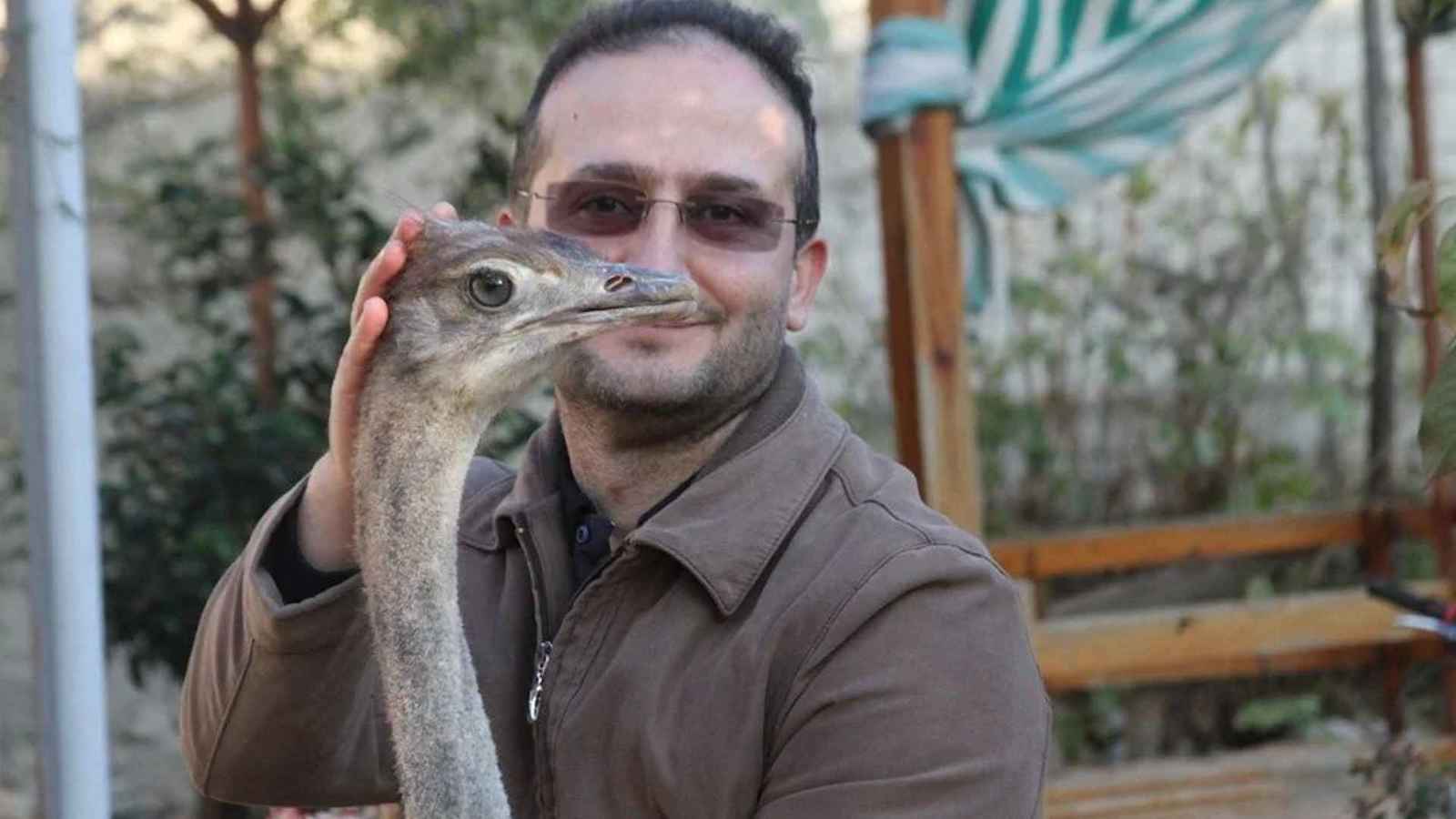 مقايضة غريبة.. عرض نعامة للبيع مقابل هاتف نقال (صور)