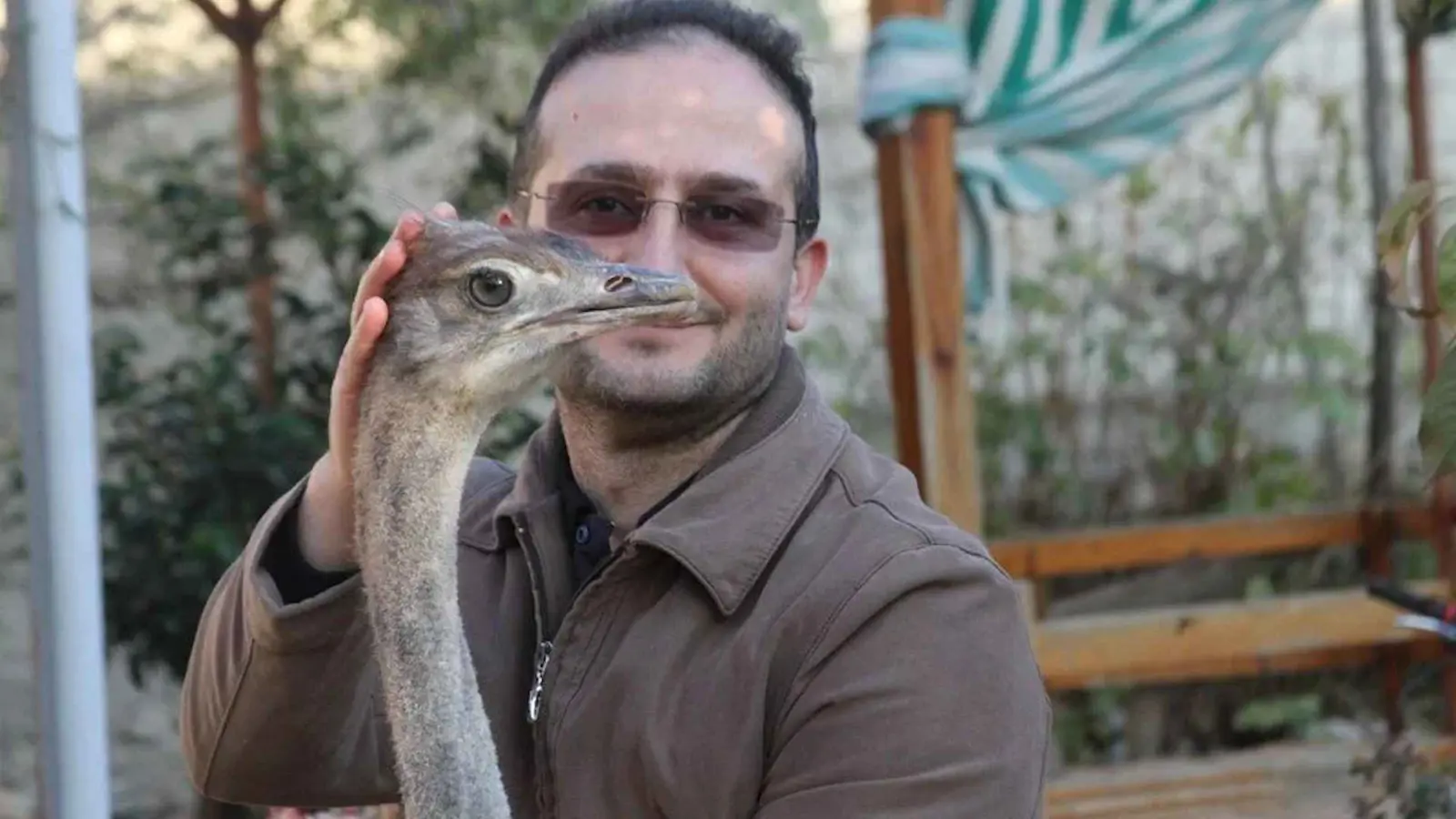 مقايضة غريبة.. عرض نعامة للبيع مقابل هاتف نقال (صور)