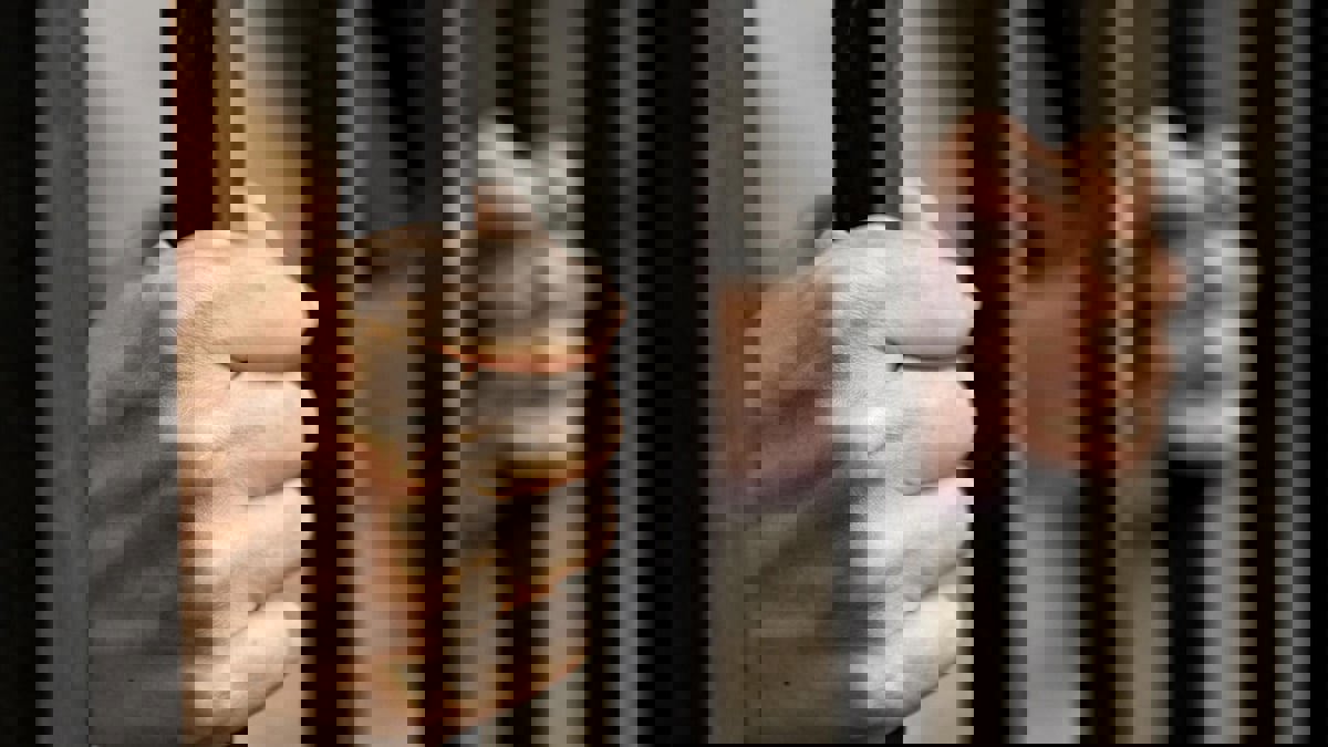 بعد 3 أحكام بالإعدام.. السجن المؤبد لـ"سفاح الجيزة" في مصر