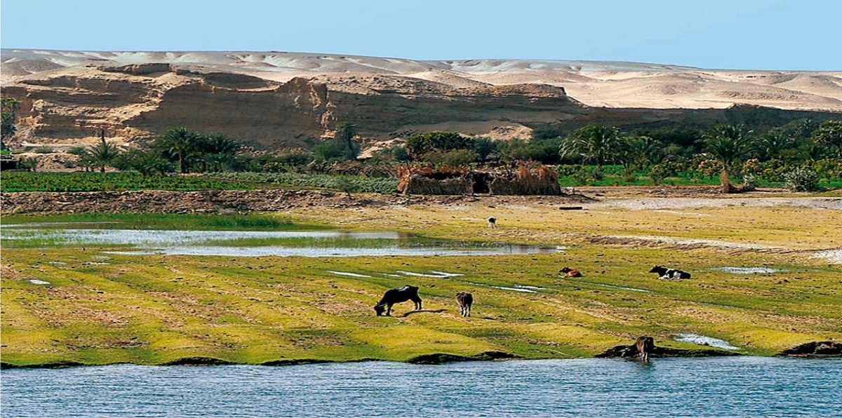 كيف يمكن لمصر مواجهة "سنوات الجفاف" مع تسارع بناء سد النهضة ؟