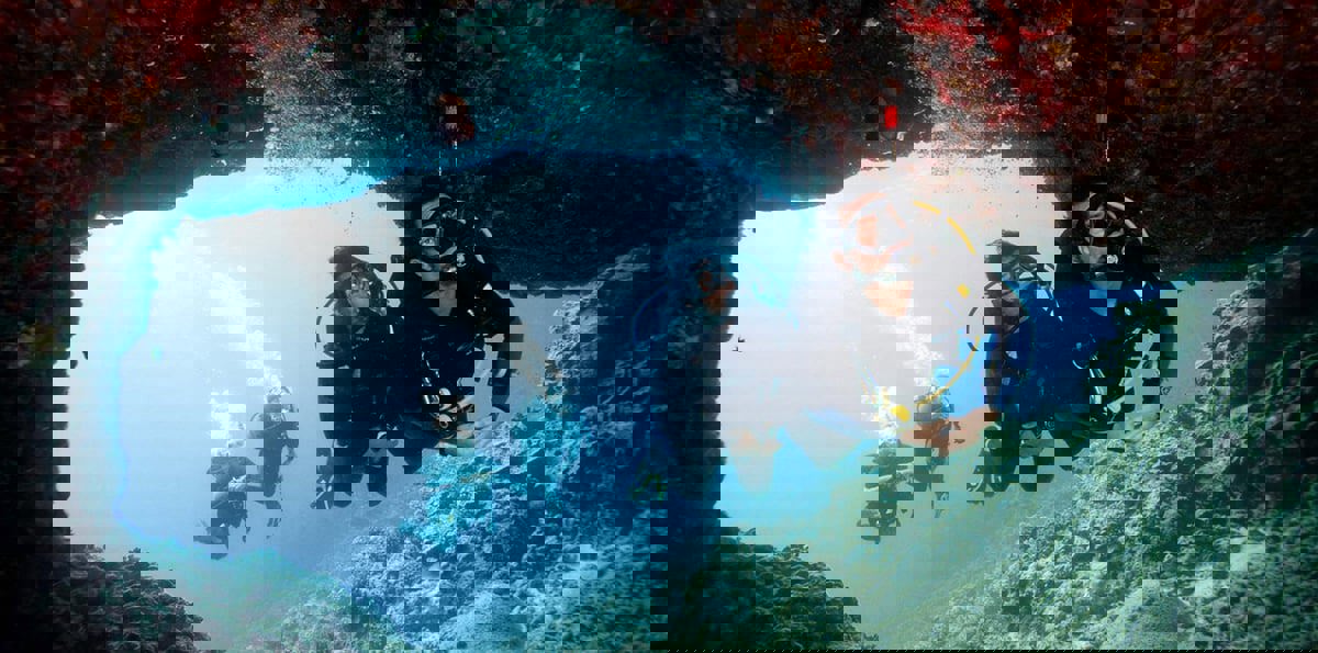 شاهد أفضل صور العالم من تحت الماء لعام 2018