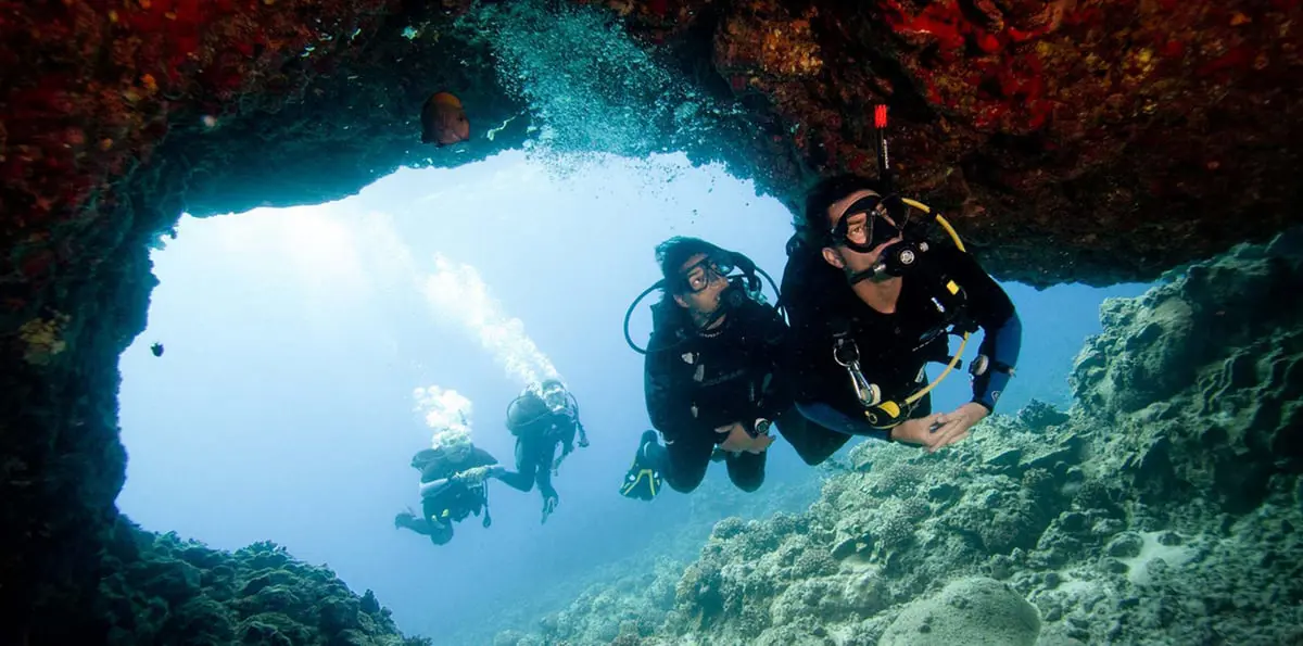 شاهد أفضل صور العالم من تحت الماء لعام 2018