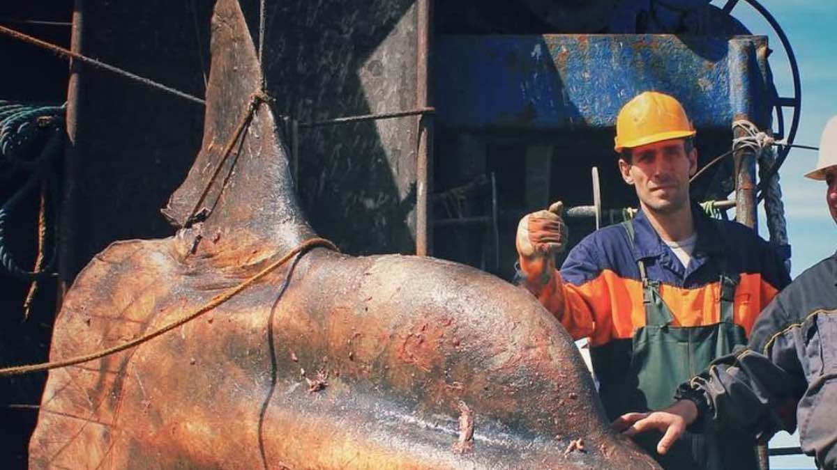 صياد روسي يثير الجدل بعد اصطياد مخلوق بحري غريب (فيديو)