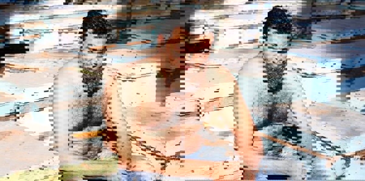 بالفيديو.. "لحية النحل" تصعد بالمصري محمد هجرس إلى العالمية