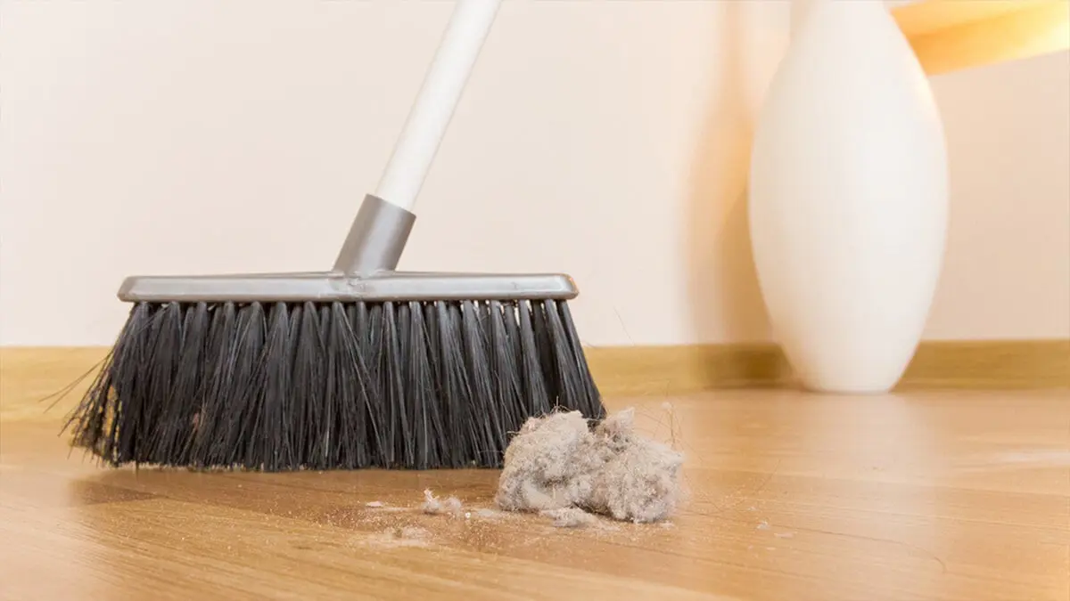 فريق أمريكي يطور جهازا يحدد كمية المواد الضارة في هواء المنازل