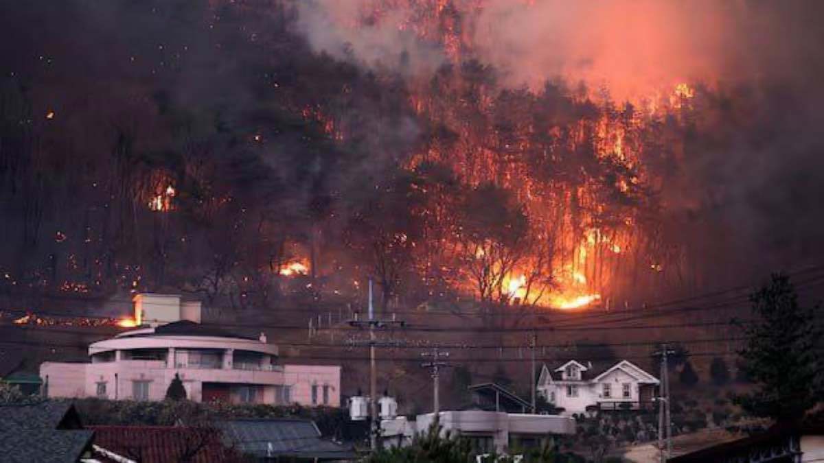 كوريا الجنوبية تواجه أكبر كارثة حرائق في تاريخها (فيديو)