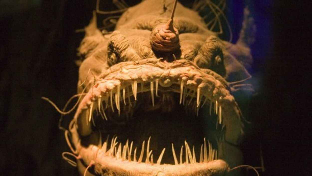 "وحش الأعماق".. ظهور نادر لسمكة الشيطان يفاجئ العلماء (صور)