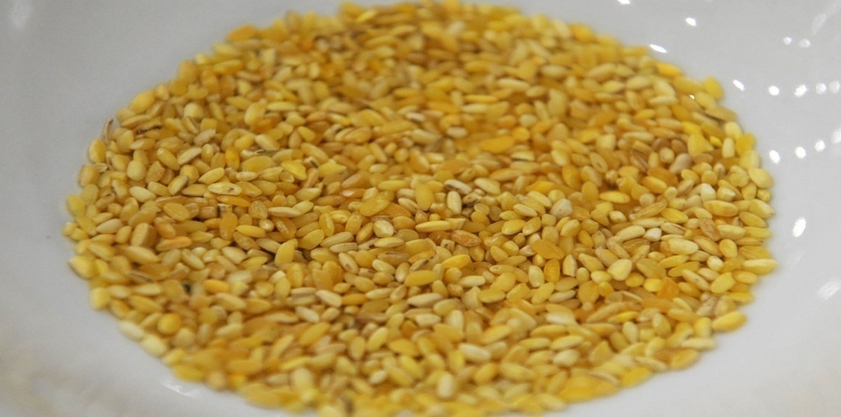 الصين تستعد لاعتماد المواد الغذائية المُعدَّلة وراثيًا