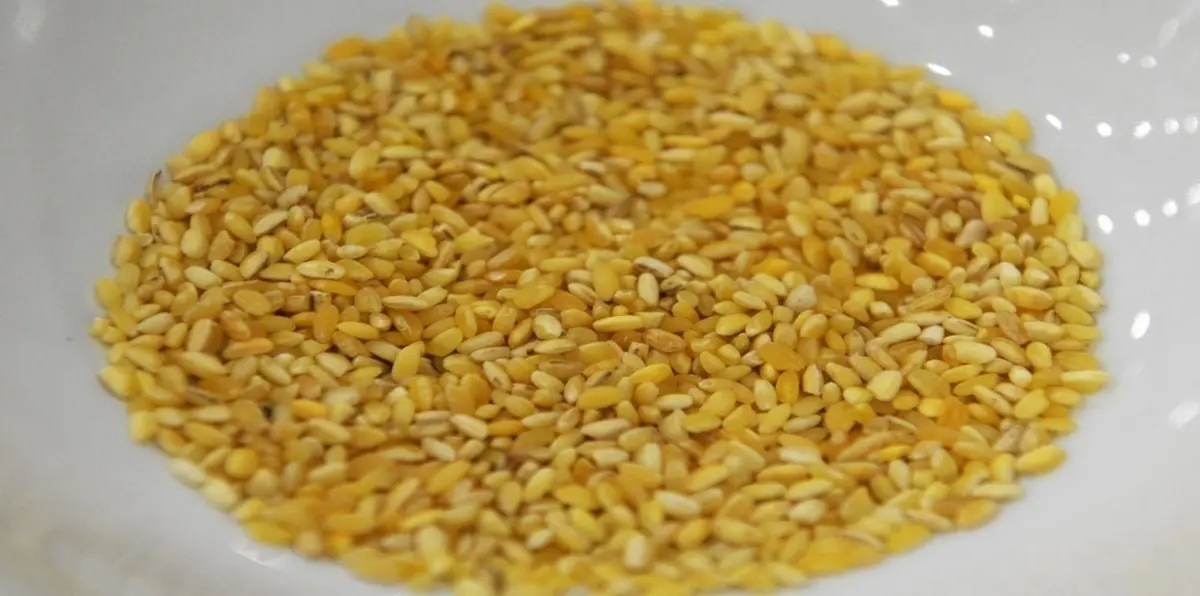 الصين تستعد لاعتماد المواد الغذائية المُعدَّلة وراثيًا