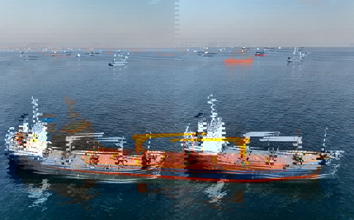 القرار الأوروبي بشأن الحبوب الروسية.. عصفوران بحجر واحد