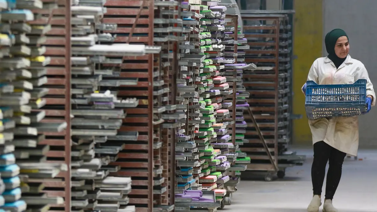 أردني يحقق أرباحا وافرة من تصدير الطباشير إلى أكثر من 100 دولة