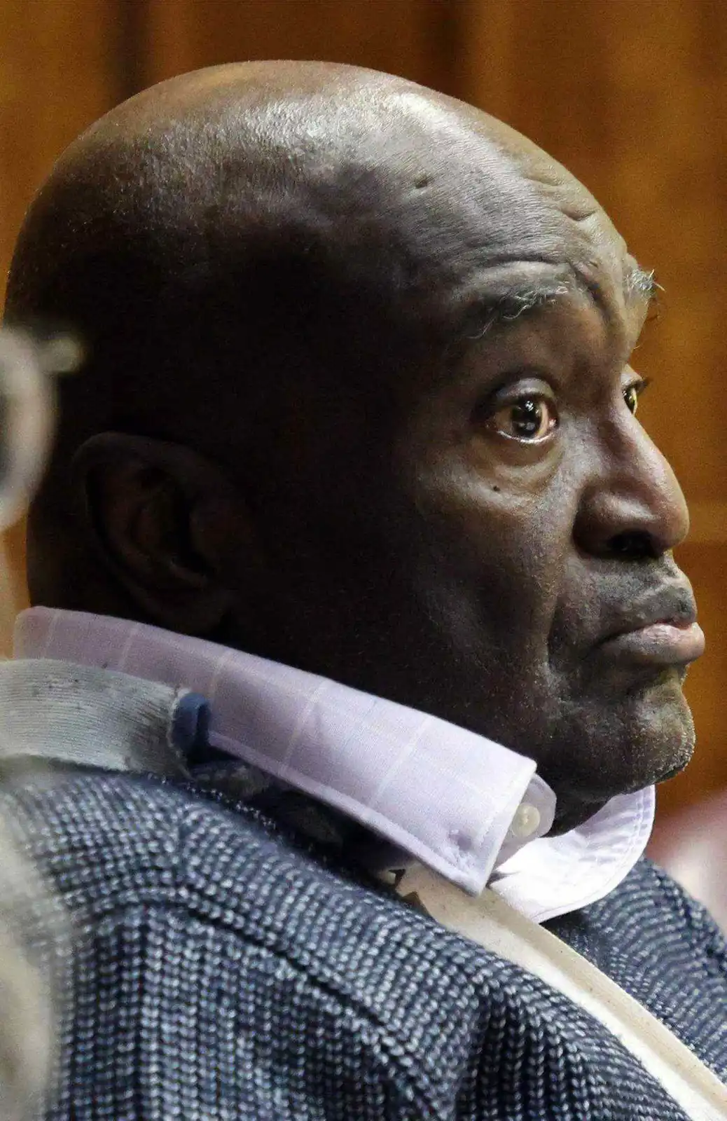 هاريل برادي