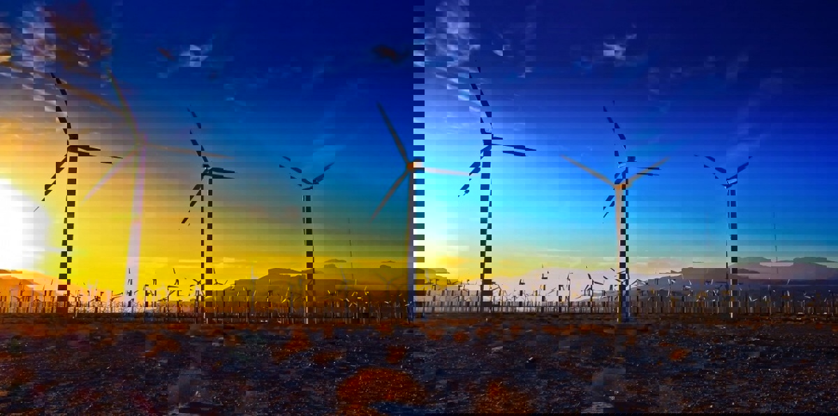 سلطنة عُمان تستعد لبناء أول محطة لطاقة الرياح في منطقة الخليج