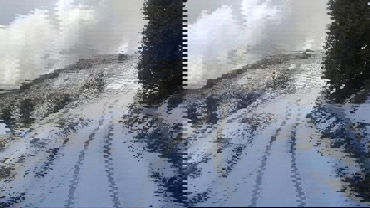 الثلوج تزين جبل الشمس الشاهق في سلطنة عمان (فيديو)