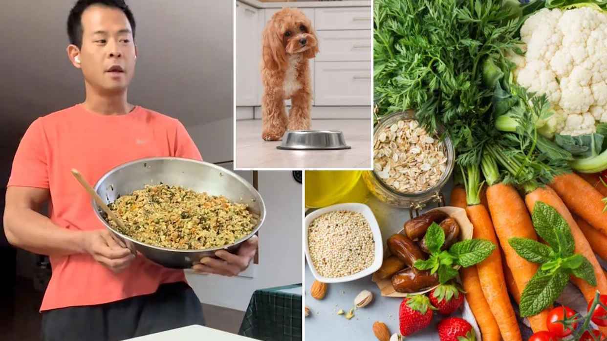 كيف قيّم اختصاصيو التغذية "الطعام البشري المجروش"؟ (فيديو)