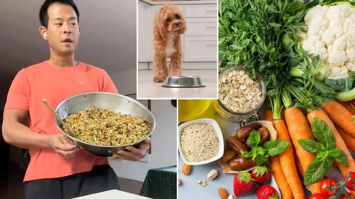 كيف قيّم اختصاصيو التغذية "الطعام البشري المجروش"؟ (فيديو)