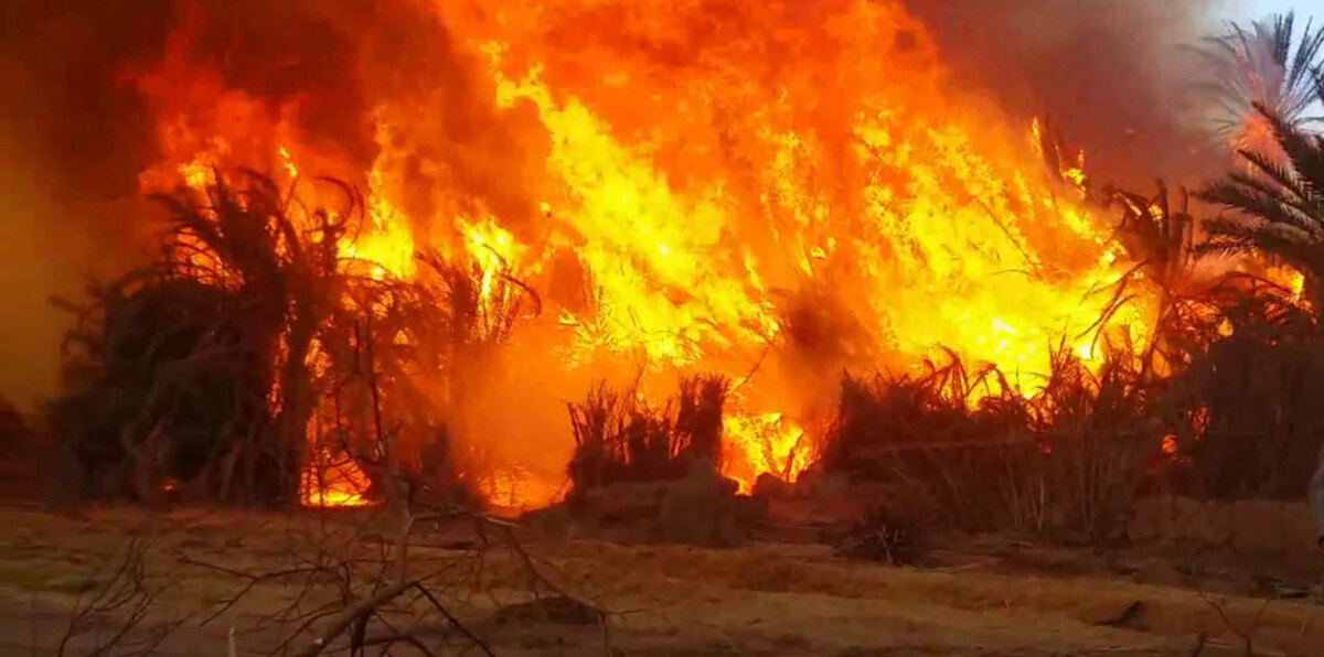 ارتفاع عدد مصابي حريق الوادي الجديد بمصر والحكومة توعز بصرف تعويضات (فيديو)