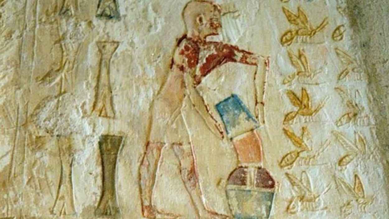 "كنز غذائي لا يفسد".. ما الفرق بين العسل الخام والعادي؟