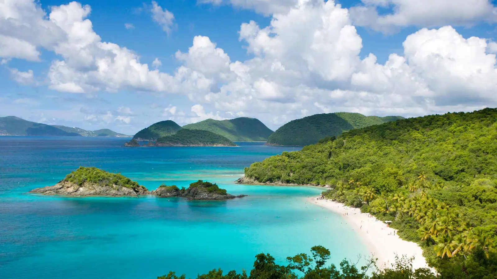 خضرة المحيطات تزداد بالقطبين وتقل قرب خط الاستواء