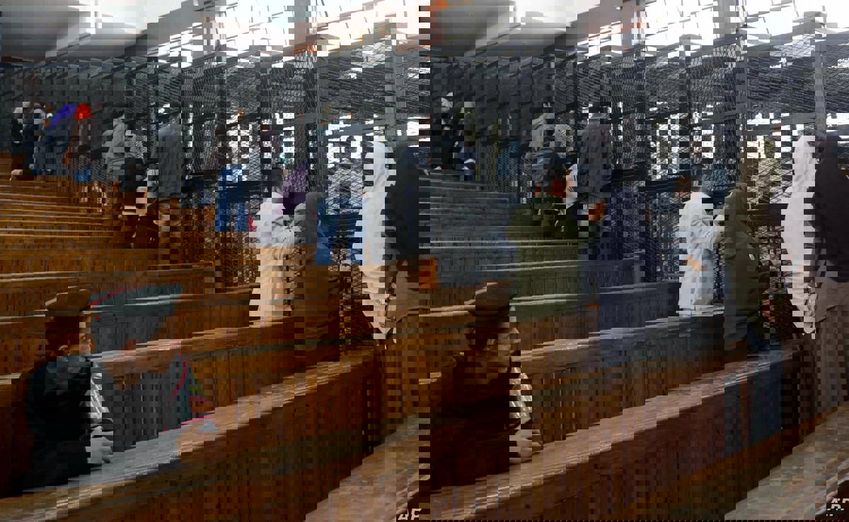 مصر.. الدفعة الثانية من المشمولين بالعفو الرئاسي تنتظر موافقة السيسي