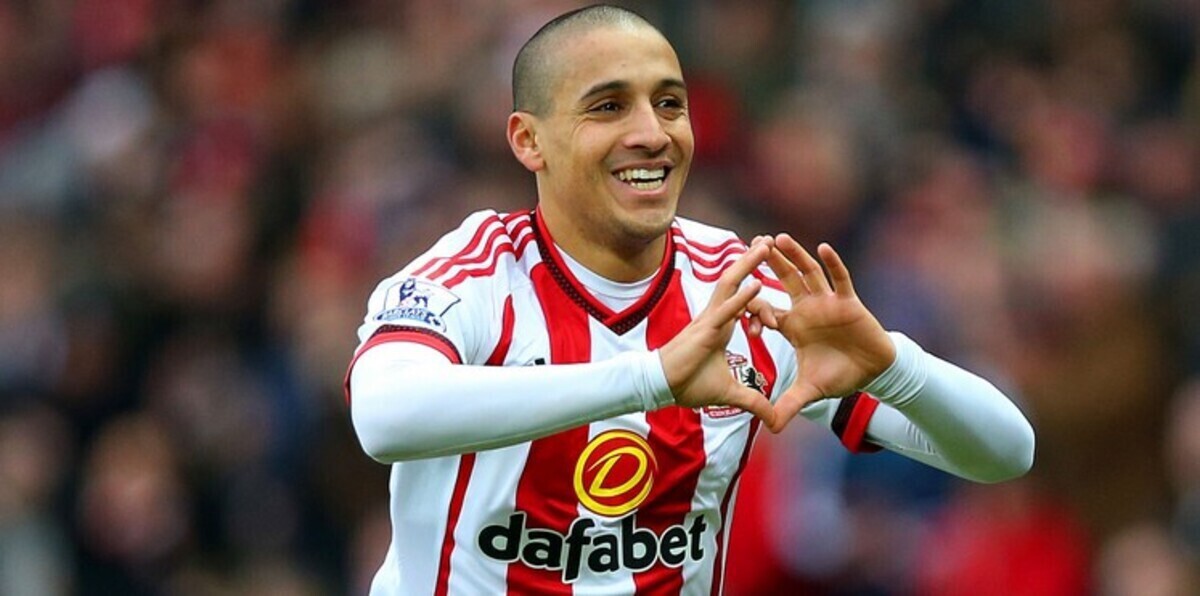 طيور تونس المهاجرة تسقط في 2015