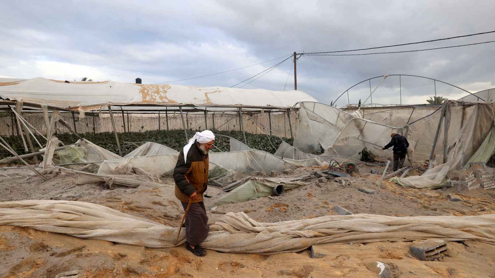 الفاو: 95% من أراضي غزة غير صالحة للزراعة بسبب الحرب