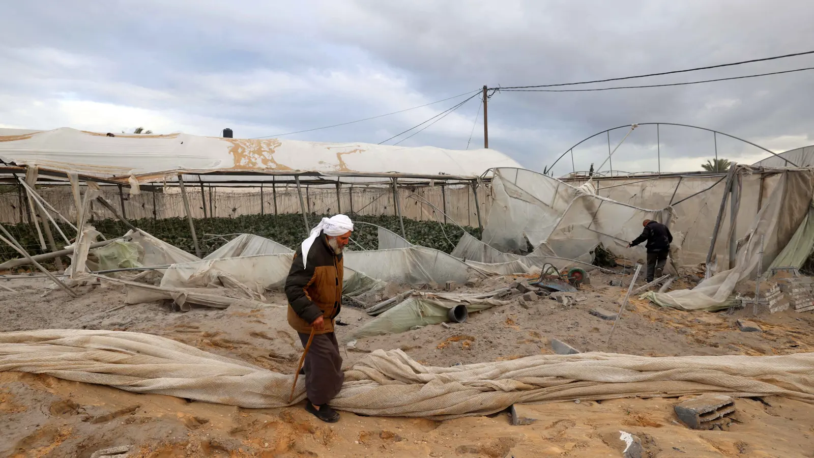 الفاو: 95% من أراضي غزة غير صالحة للزراعة بسبب الحرب
