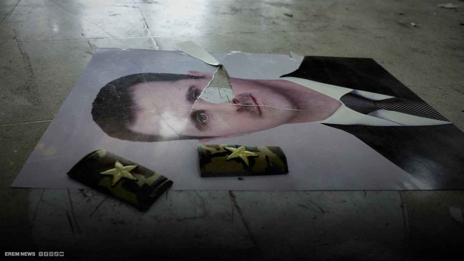 صورة ممزقة للأسد