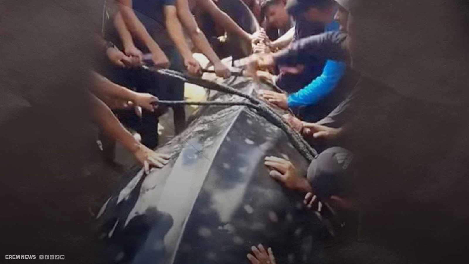 "قرش" على شاطئ خان يونس