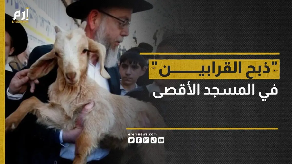 ما قصة القرابين التي يتسابق اليهود لذبحها في المسجد الأقصى؟