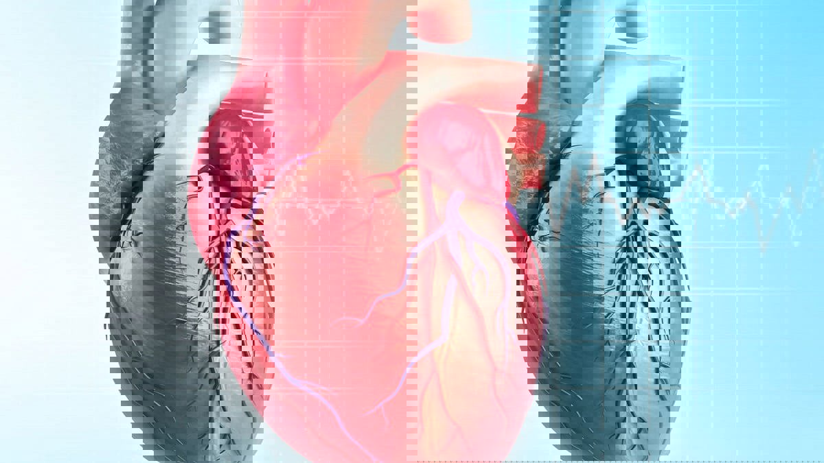 تسارع أو تباطؤ نبضات القلب المفاجئ.. الأسباب ونصائح للتعامل