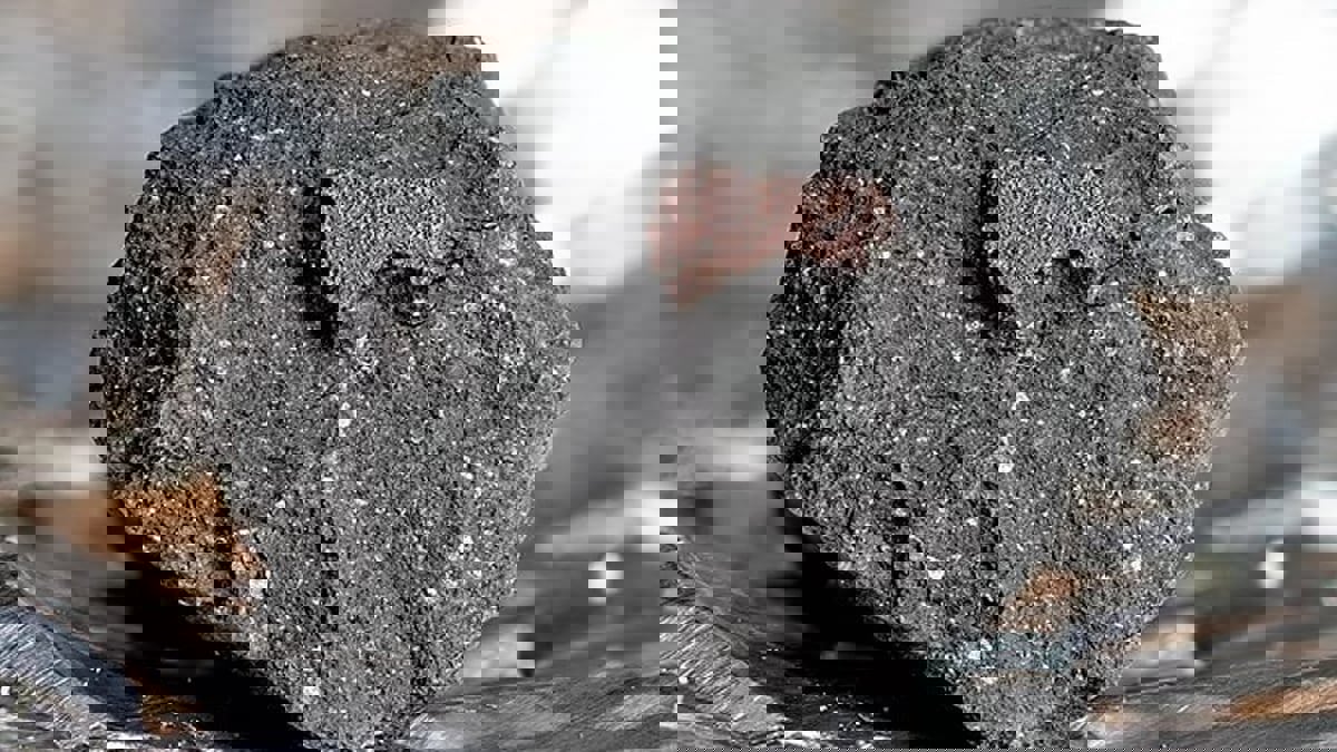 لأول مرة.. العثور على مياه خارج الأرض داخل نيزك