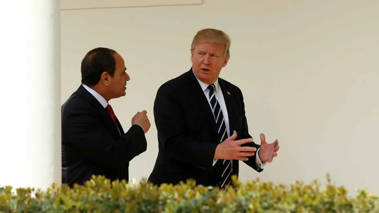 السيسي يُهنئ ترامب بتنصيبه رئيساً للولايات المتحدة