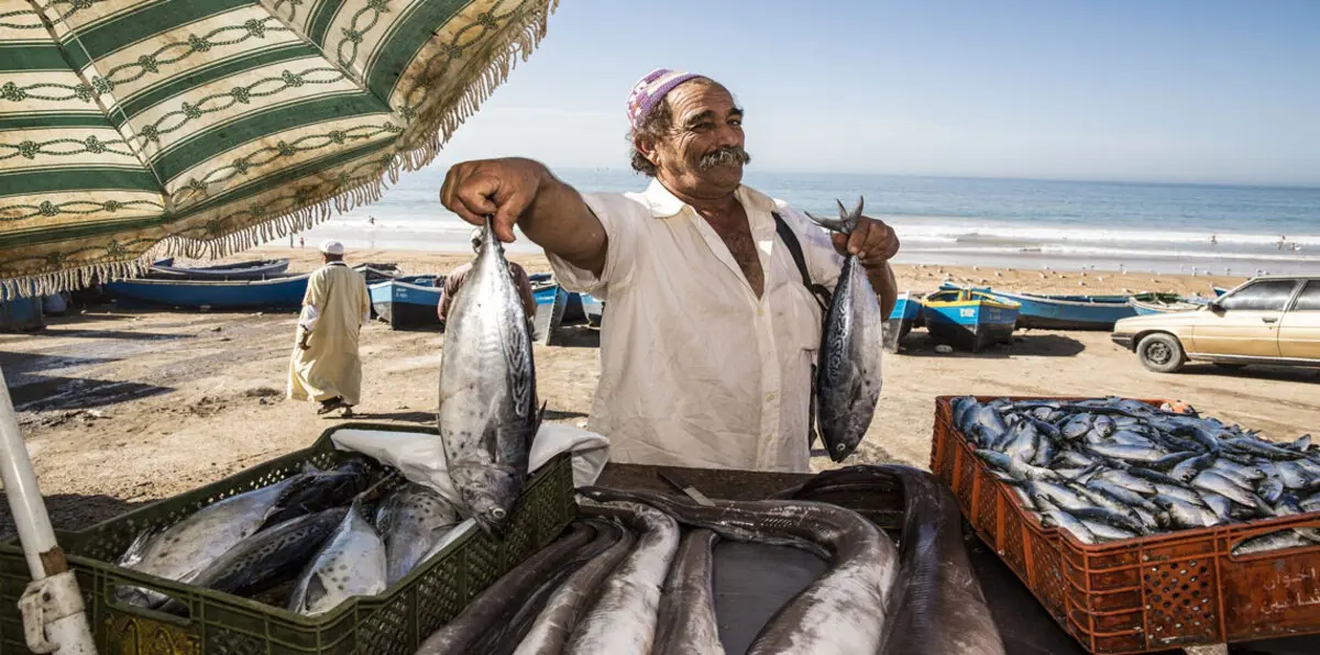 رغم الثروة السمكية الكبيرة.. فقراء المغرب يعجزون عن شرائها في رمضان