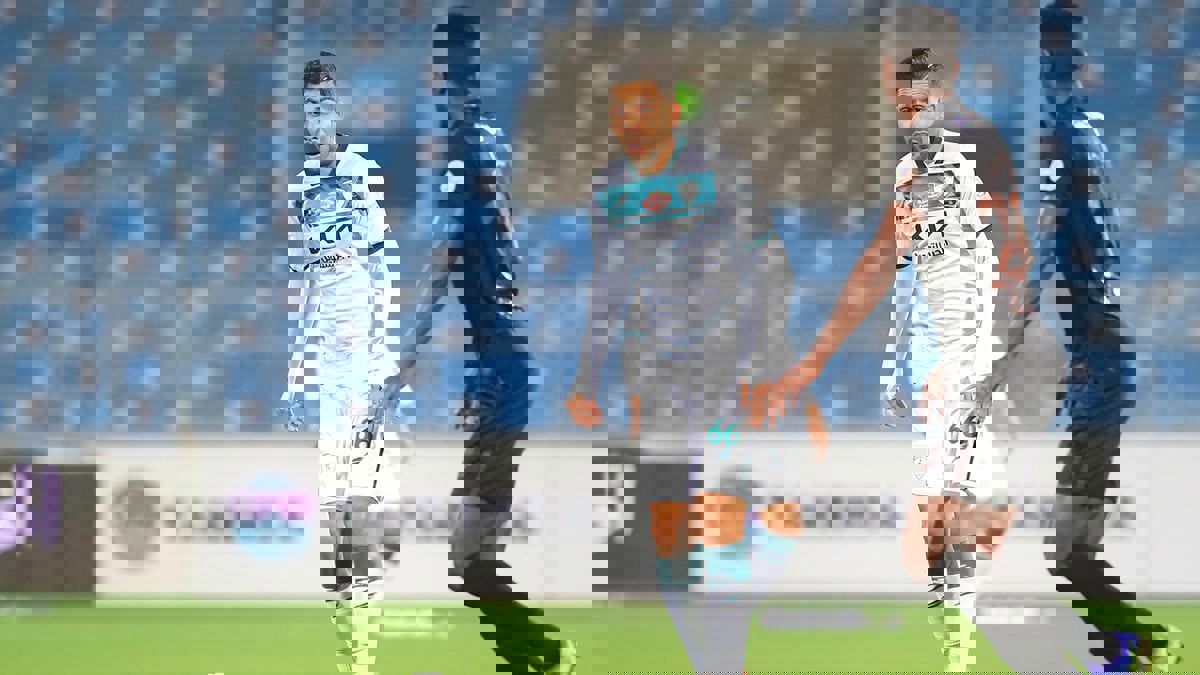 بيتروس: ما زال لي مستحقات عند إدارة النصر.. ولهذا السبب لم أتوجه بشكوى لـ"فيفا" (فيديو)